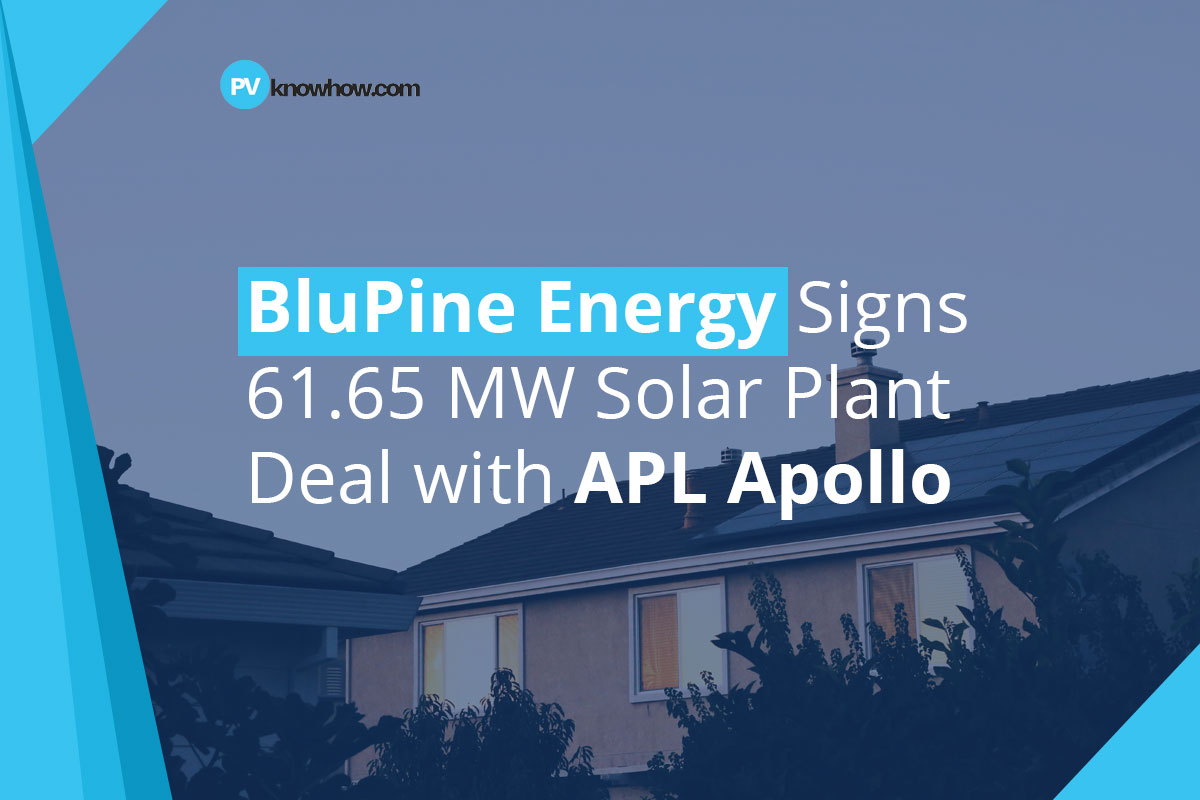 Blupine Energy Signs 61.65 MW Solar Plant Deal with APL Apollo