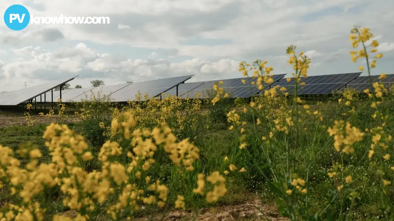 The-Cobbora-Solar-Farm The Cobbora Solar Farm