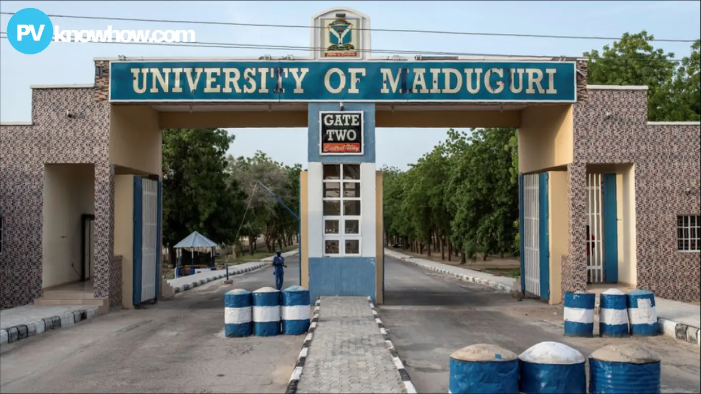 University-of-Maiduguri University of Maiduguri