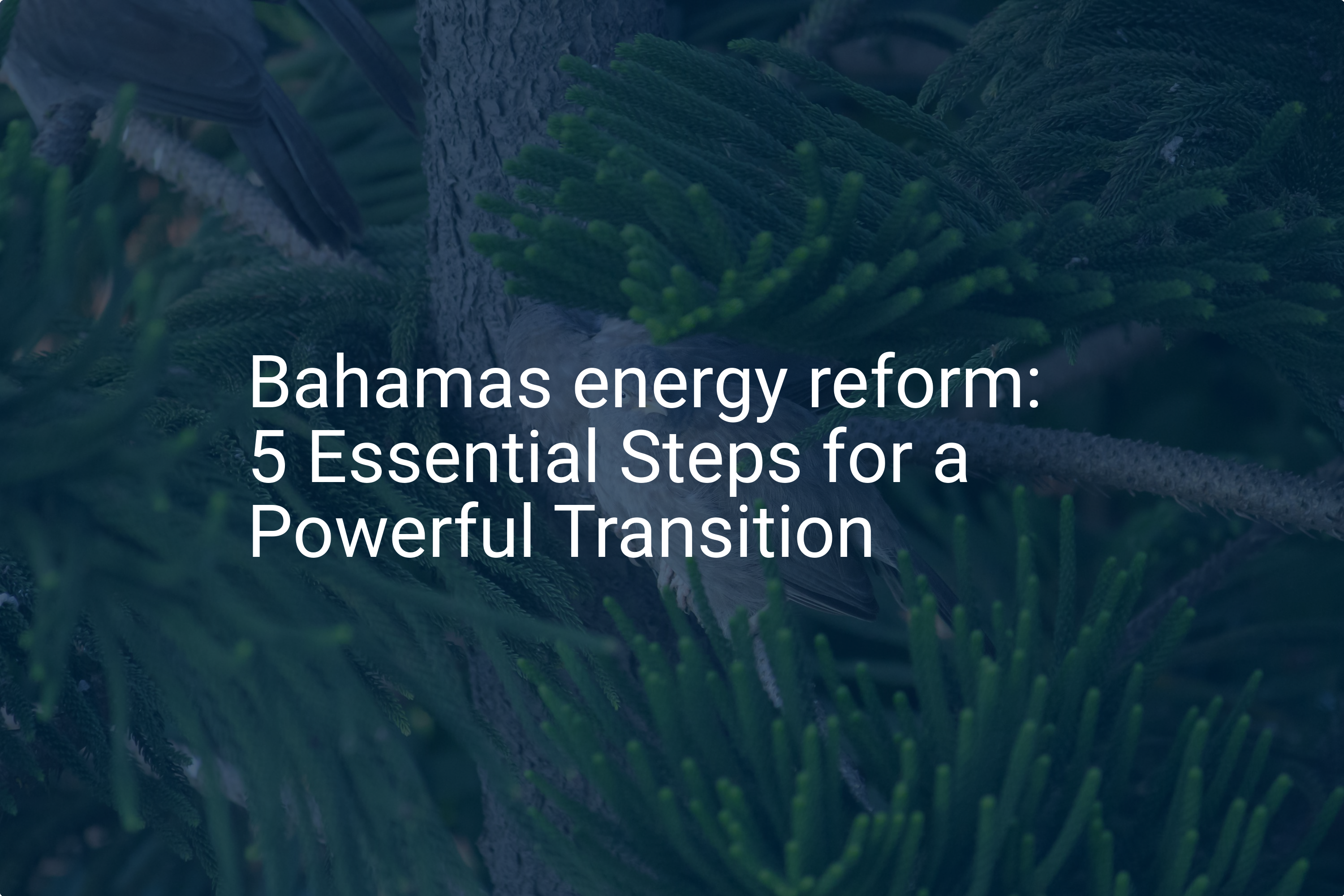 Bahamas energy reform: 5 Essential Steps for a Powerful Transition