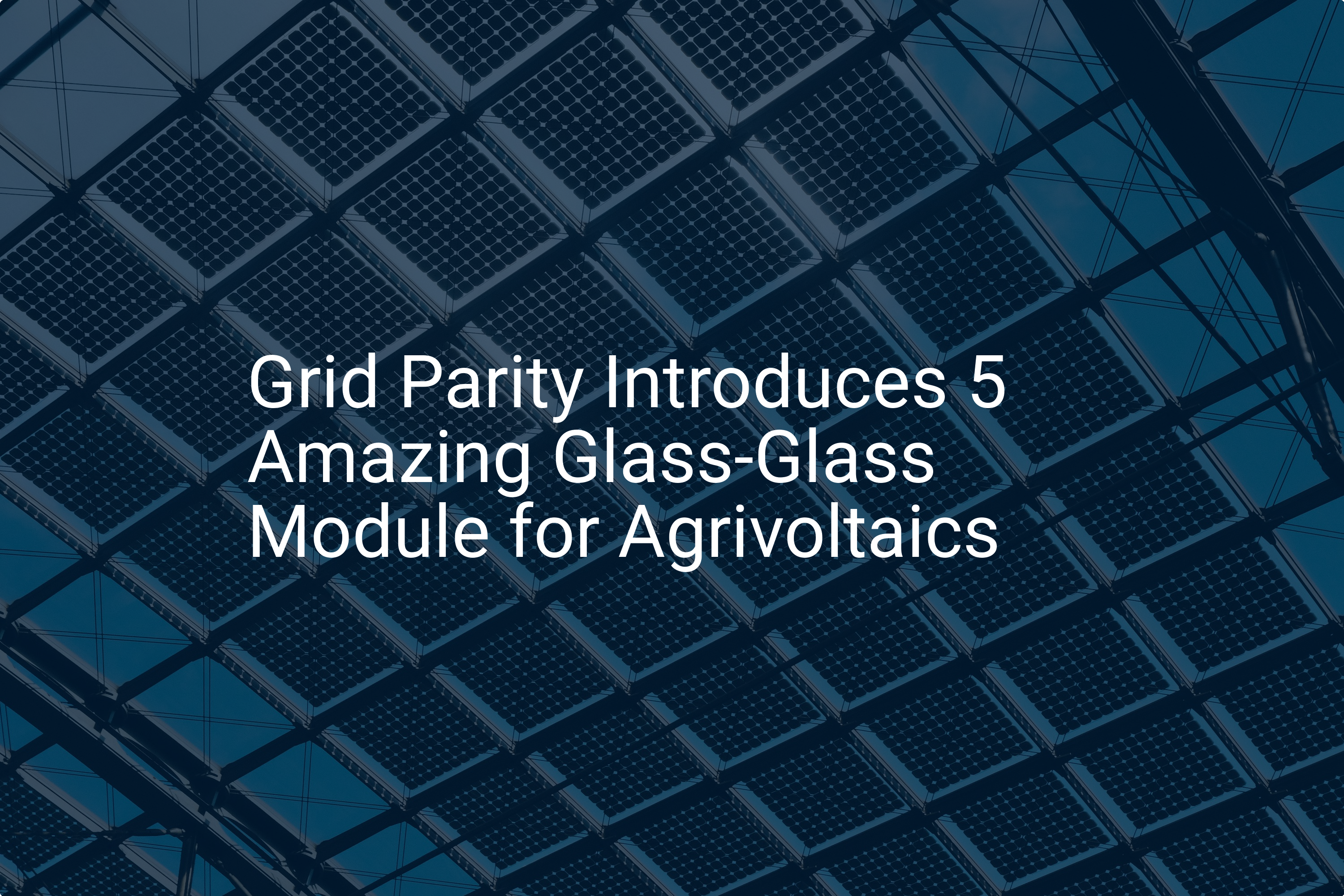 Grid Parity Introduces 5 Amazing Glass-Glass Module for Agrivoltaics