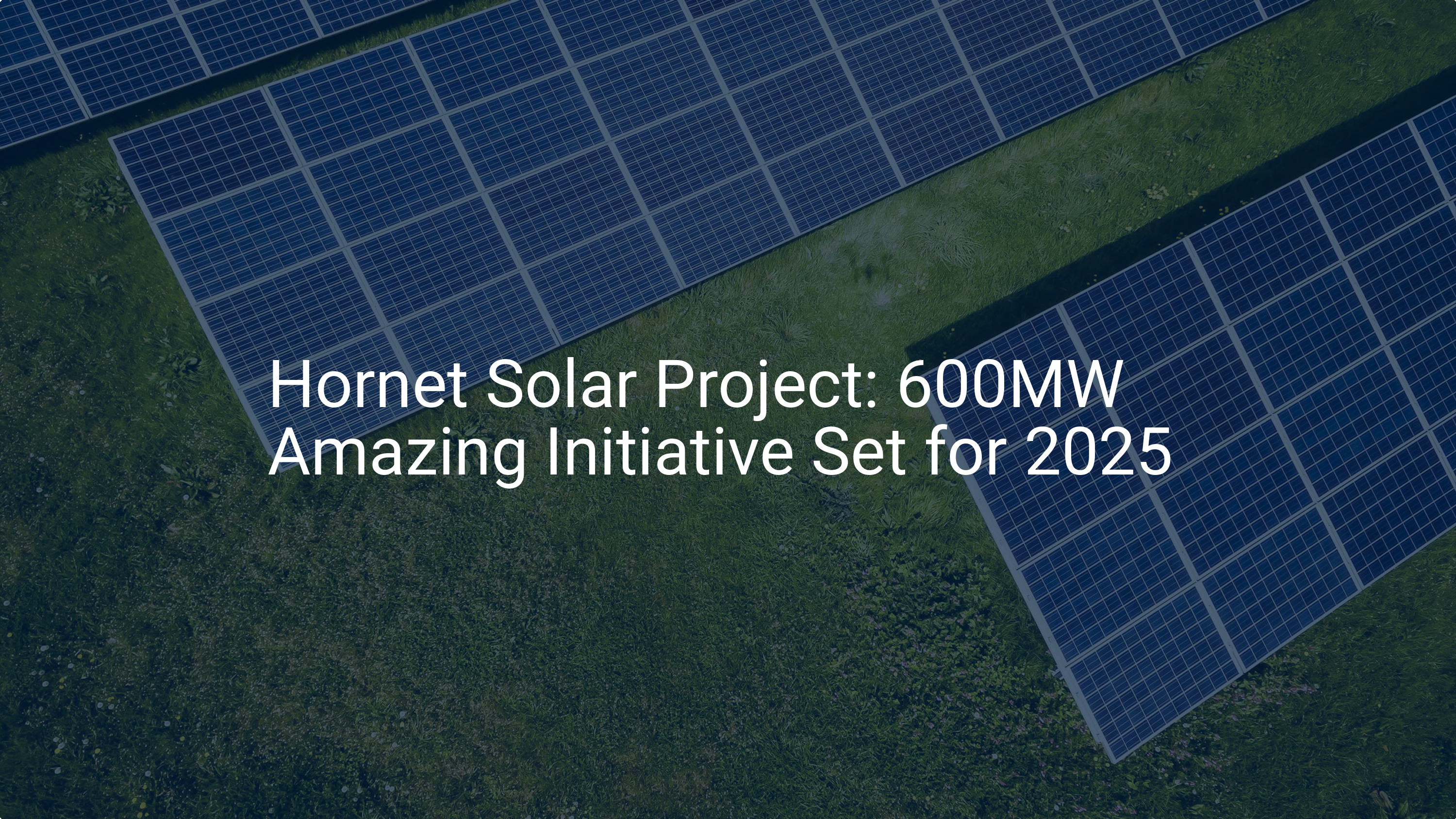 Hornet Solar Project: 600MW Amazing Initiative Set for 2025