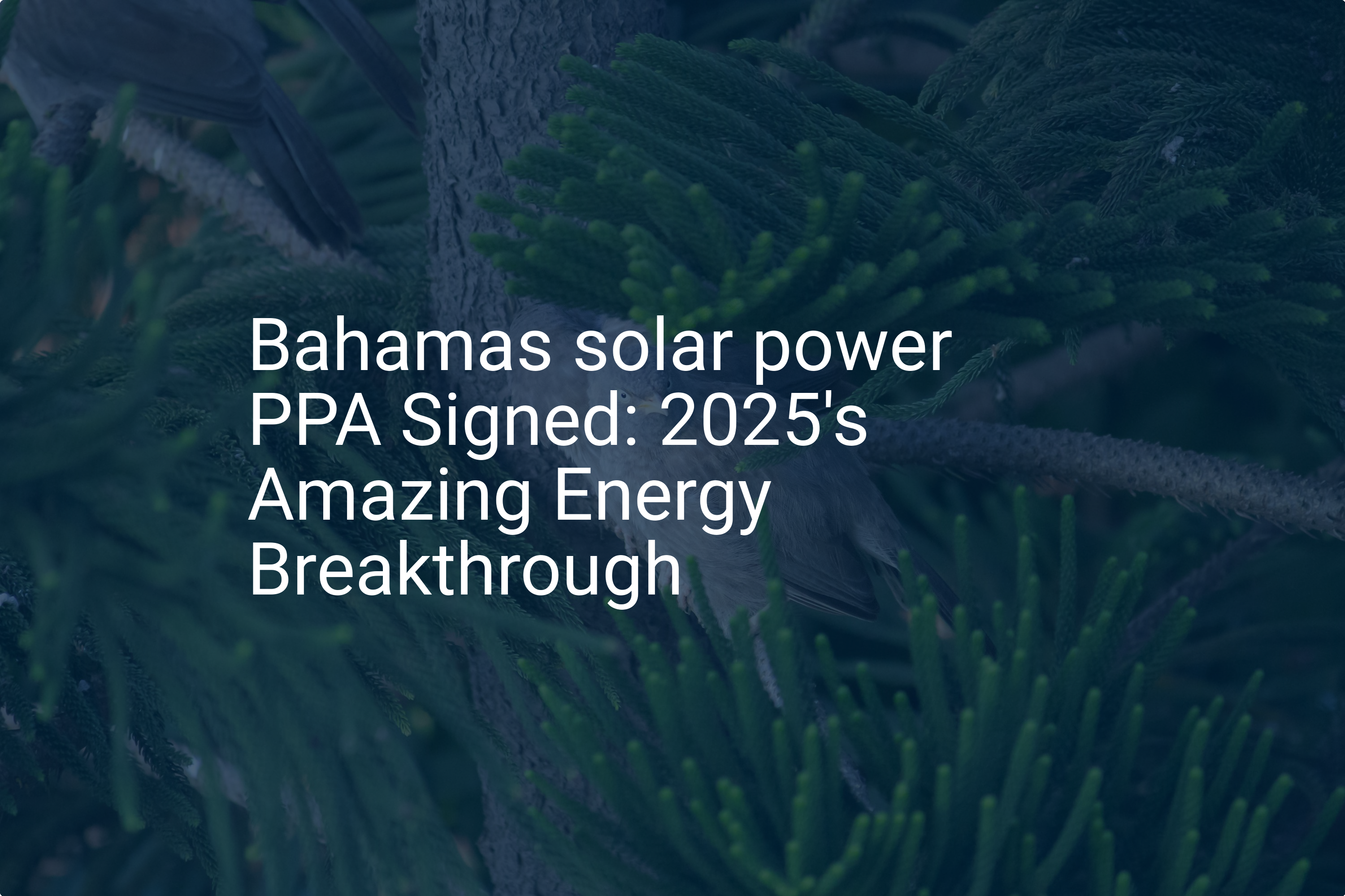Bahamas solar power PPA Signed: 2025's Amazing Energy Breakthrough