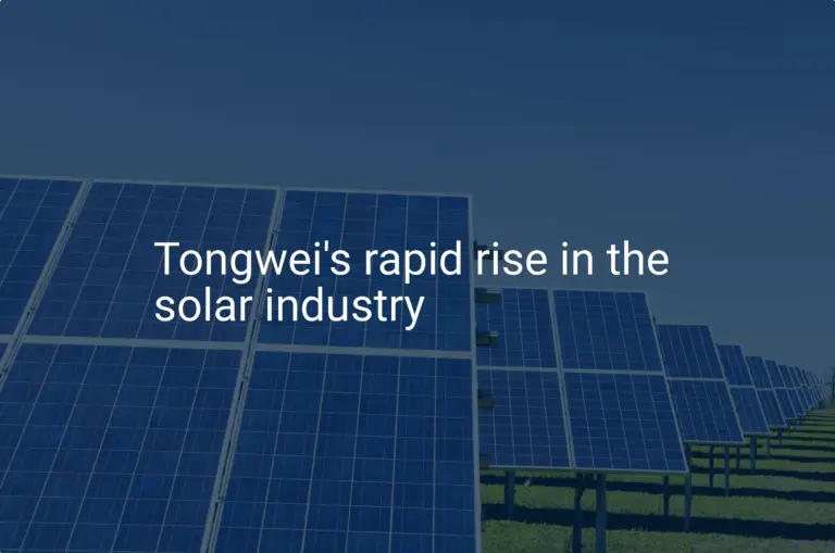 Tongwei solar industry's impressive 2024 growth is proven