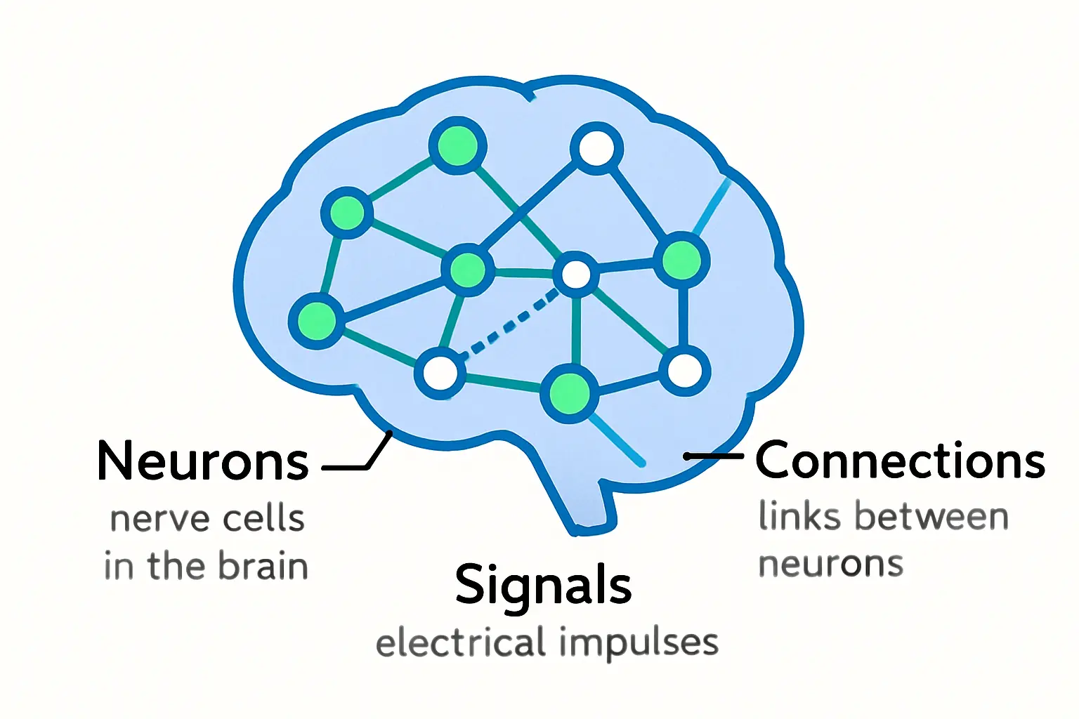 DESERT+ Module Specification