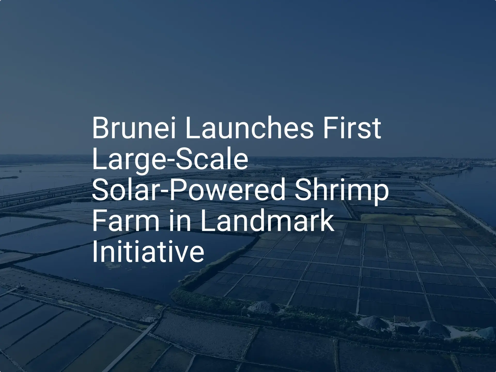 Brunei solar shrimp farm: Unique Initiative Launched in '24