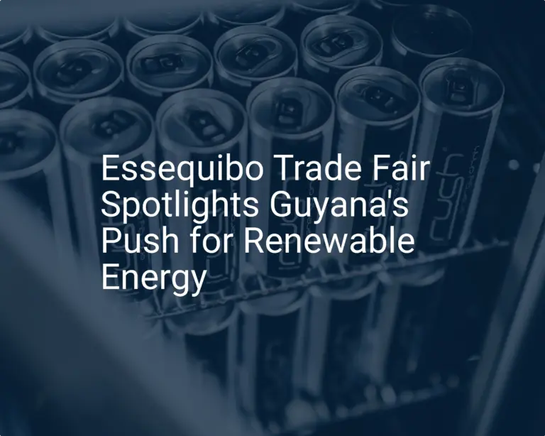 Guyana renewable energy: Unique 2024 trade fair push