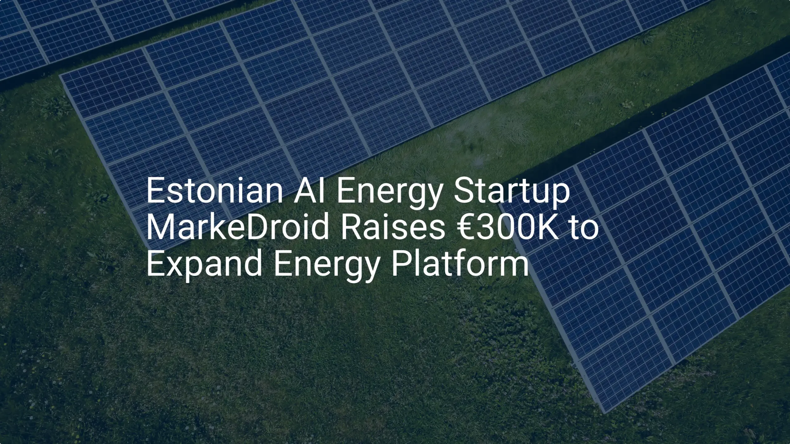 Impressive AI energy startup funding: €300K Boost for MarkeDroid