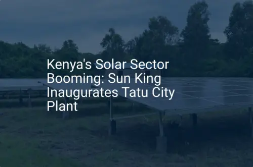 Kenya solar energy: Sun King's stunning plant opens at Tatu