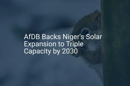 Niger solar expansion: Remarkable plan to triple by 2030