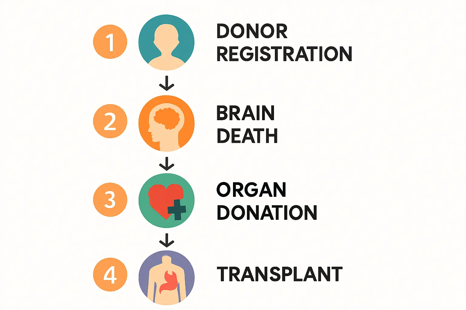 Business benefits of Glass-Glass modules