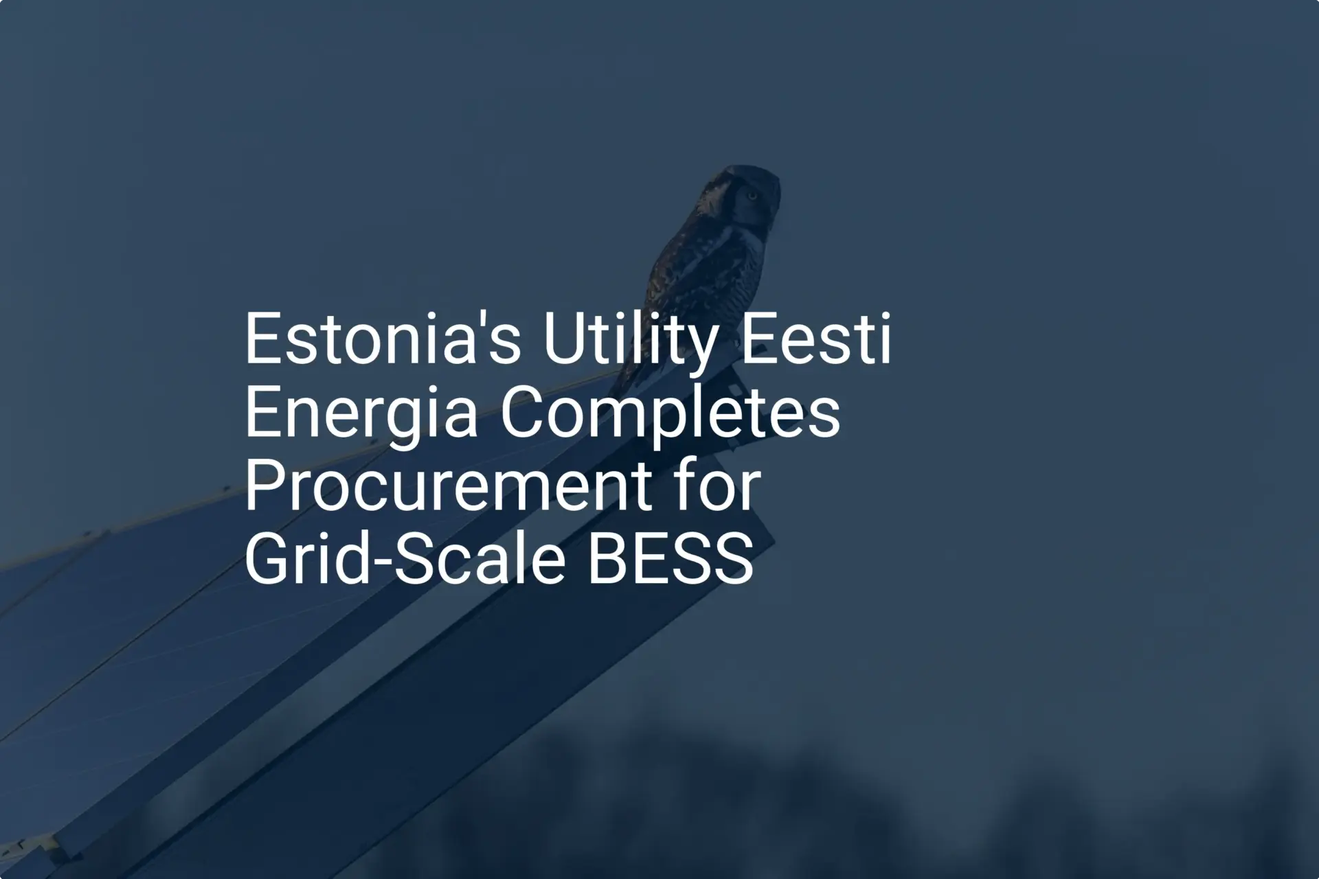 Estonia grid-scale BESS: Impressive Procurement Finalized