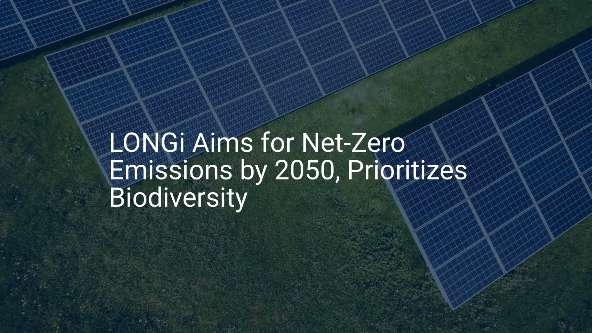 LONGi net-zero emissions: Remarkable 2050 Ultimate Goal