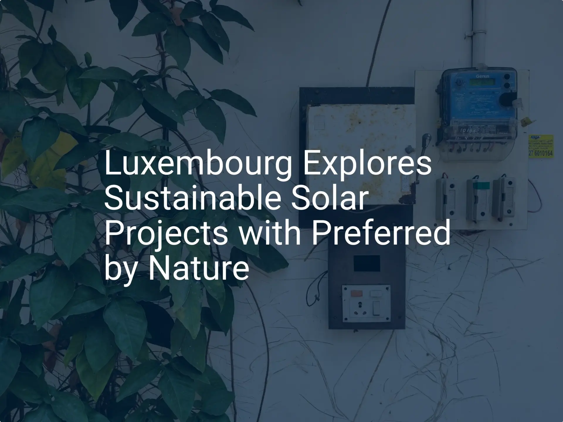Luxembourg solar projects: Unique 2024 sustainability push
