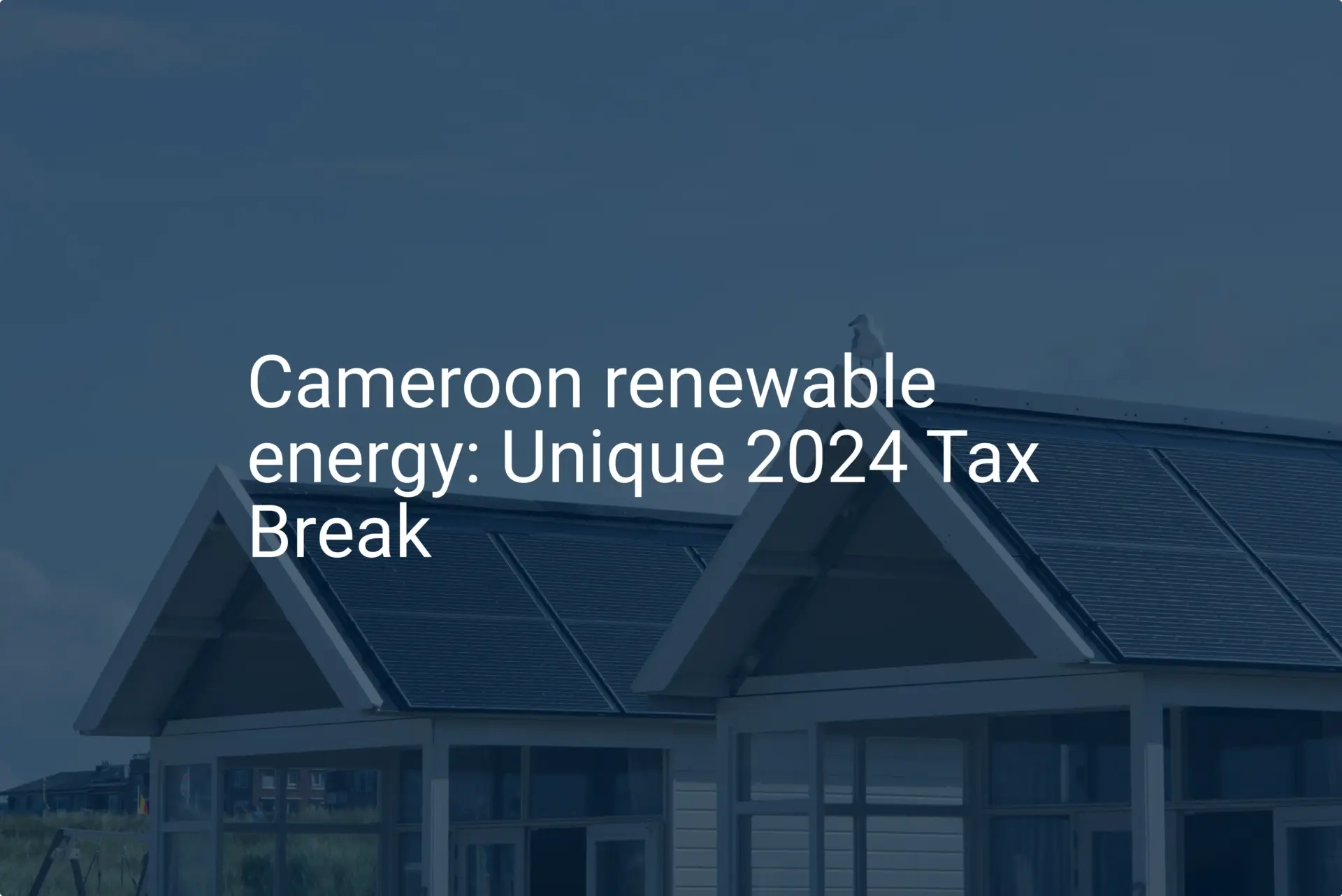 Cameroon renewable energy: Unique 2024 Tax Break