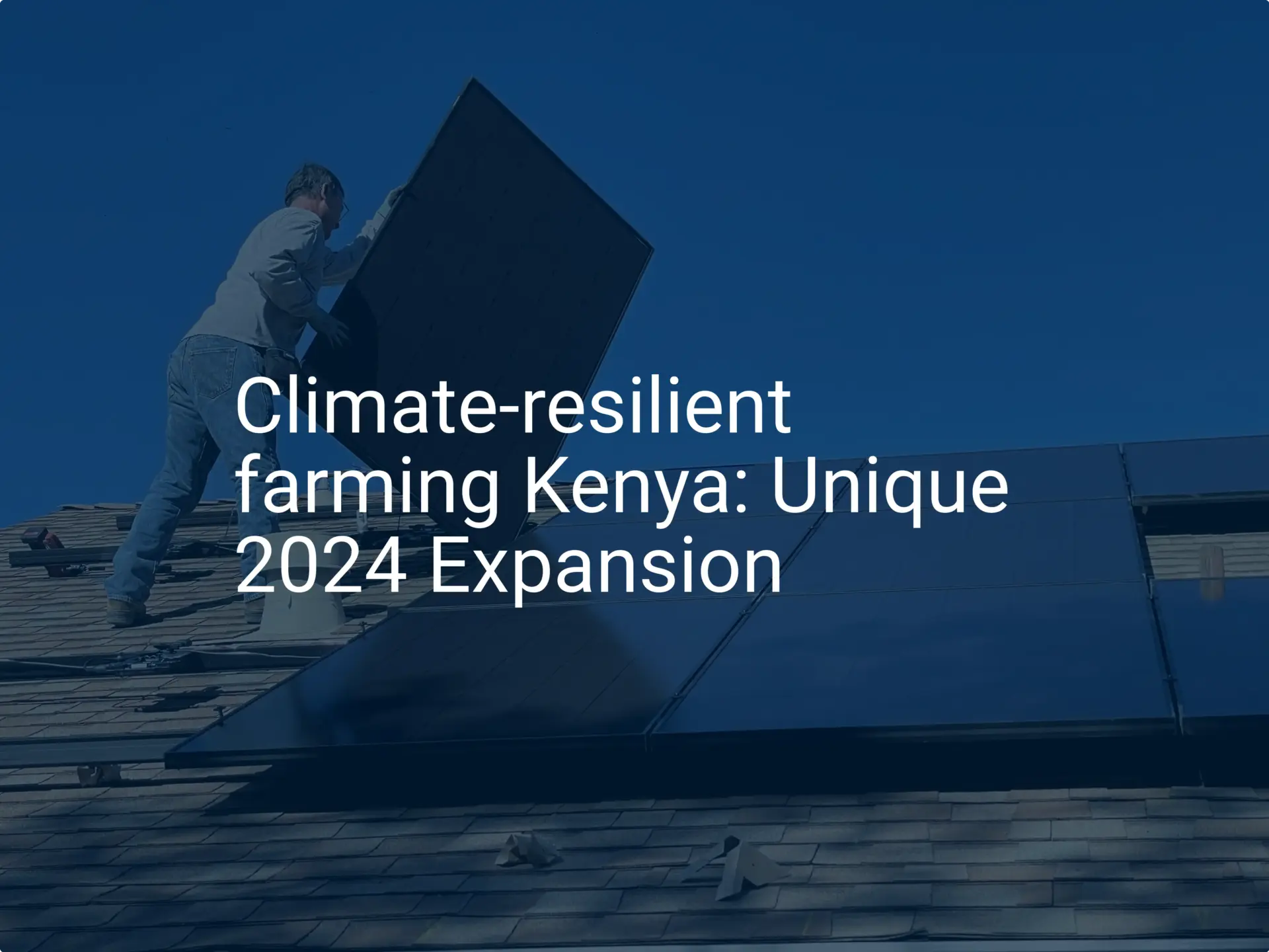 Climate-resilient farming Kenya: Unique 2024 Expansion