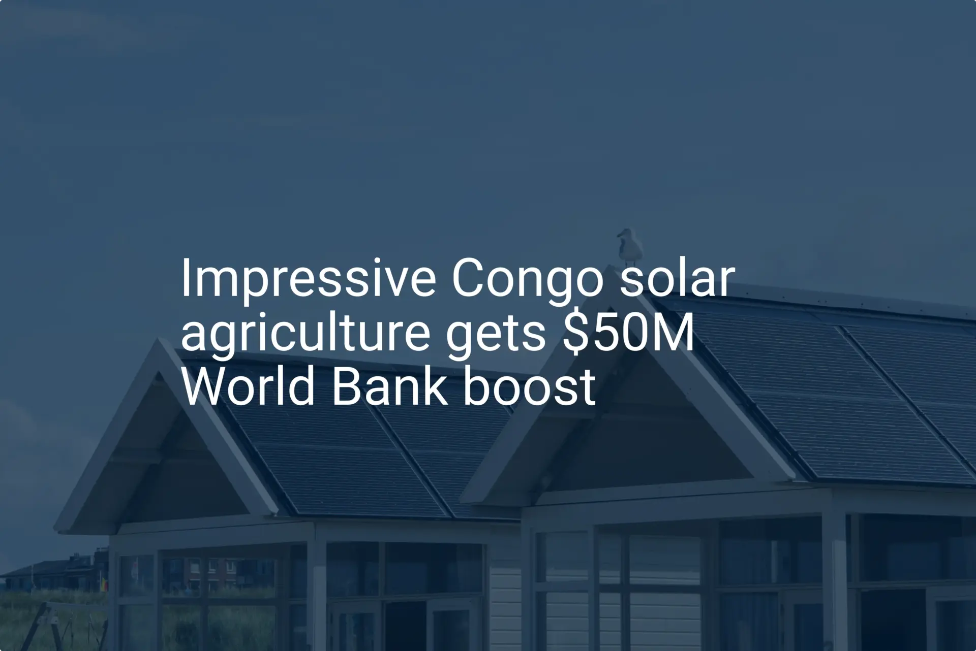 Impressive Congo solar agriculture gets $50M World Bank boost