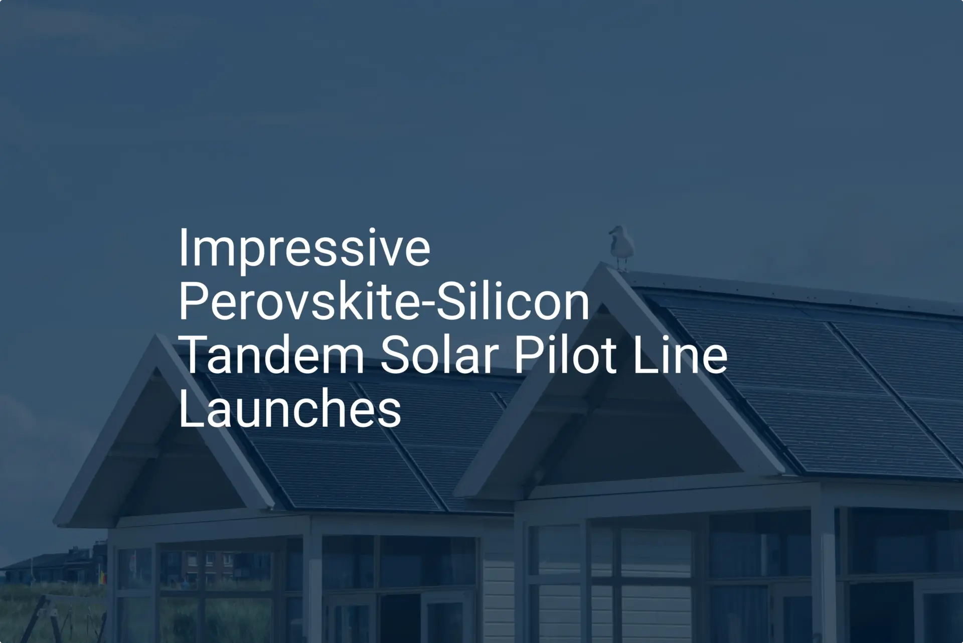 Impressive Perovskite-Silicon Tandem Solar Pilot Line Launches