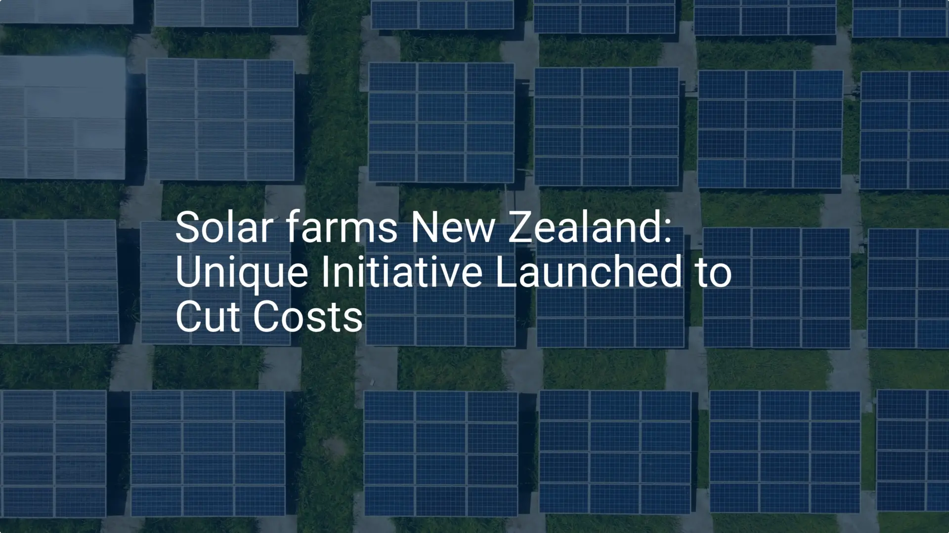 Solar farms New Zealand: Unique Initiative Launched to Cut Costs