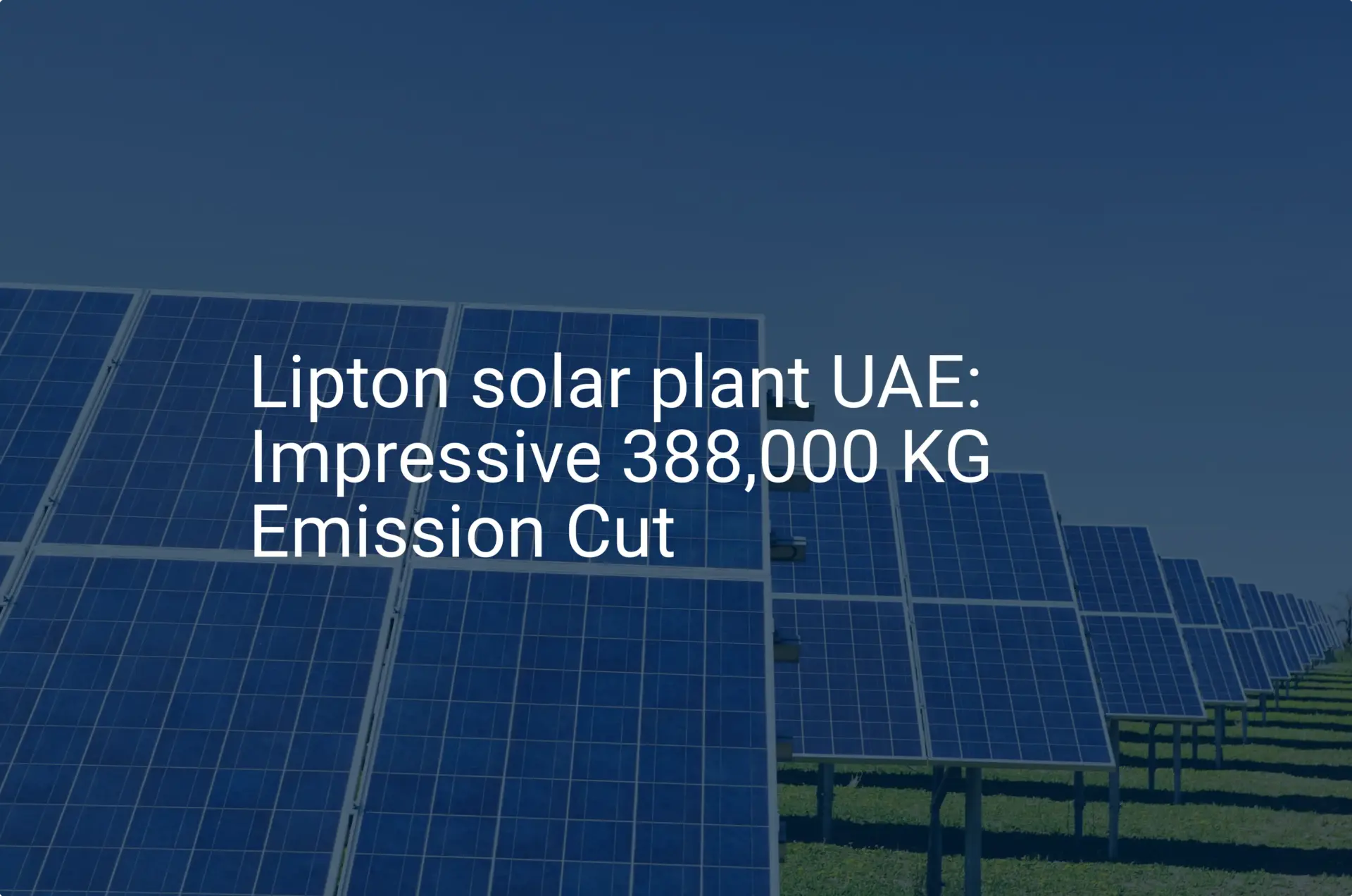 Lipton solar plant UAE: Impressive 388,000 KG Emission Cut