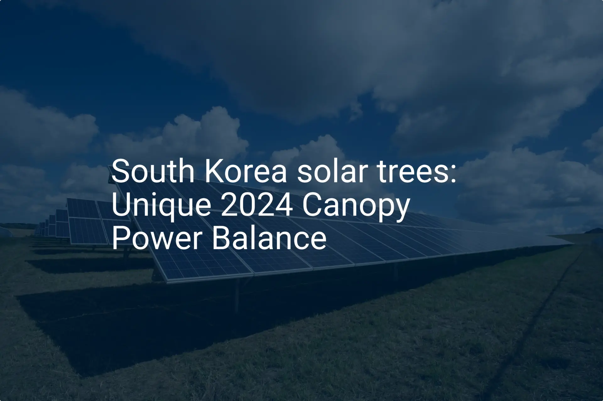 South Korea solar trees: Unique 2024 Canopy Power Balance - PVknowhow