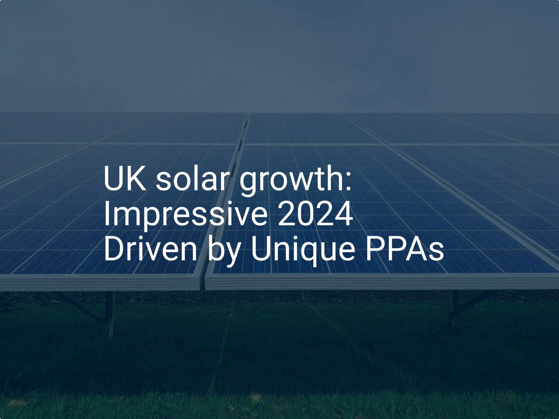UK solar growth: Impressive 2024 Driven by Unique PPAs