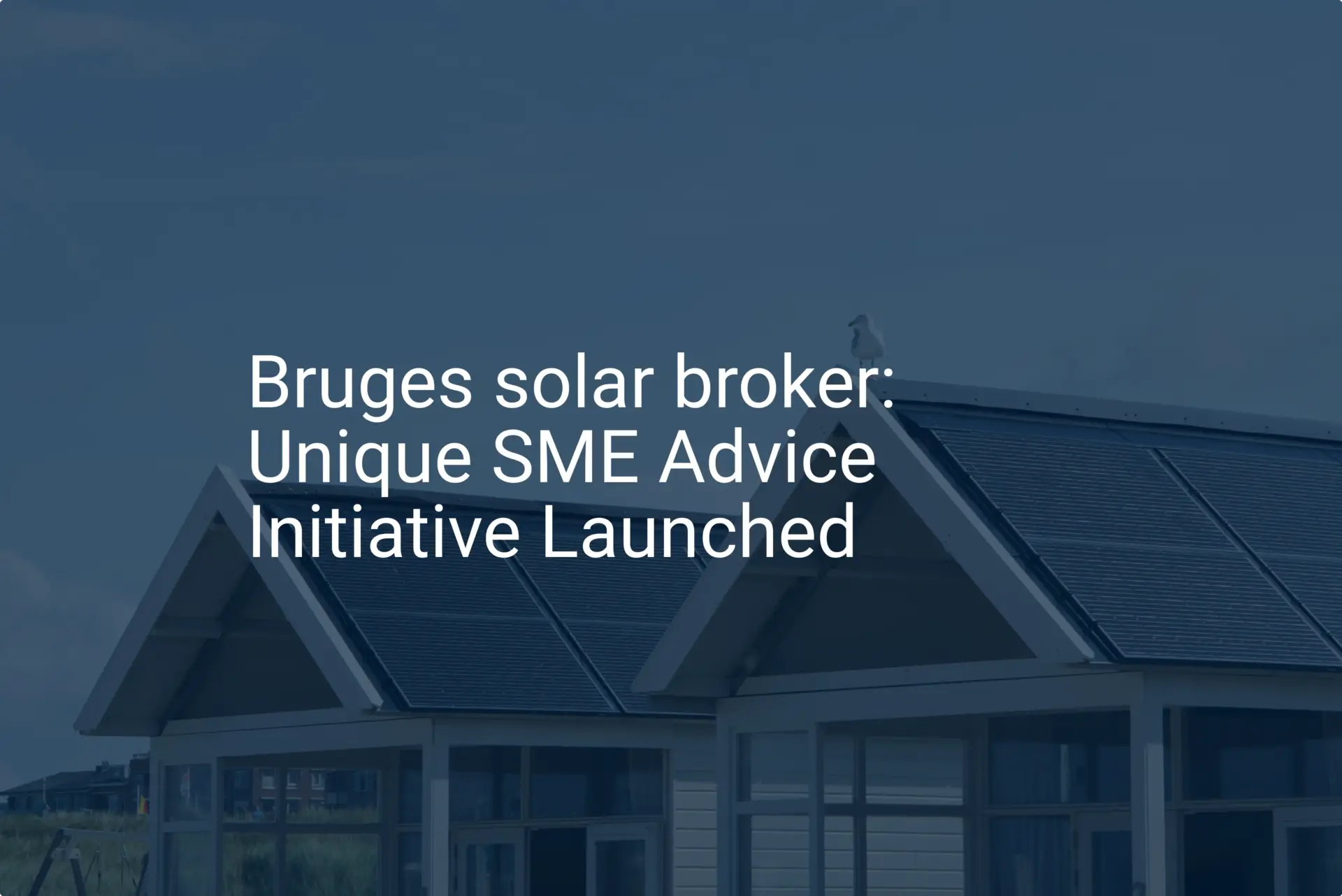 Bruges solar broker: Unique SME Advice Initiative Launched