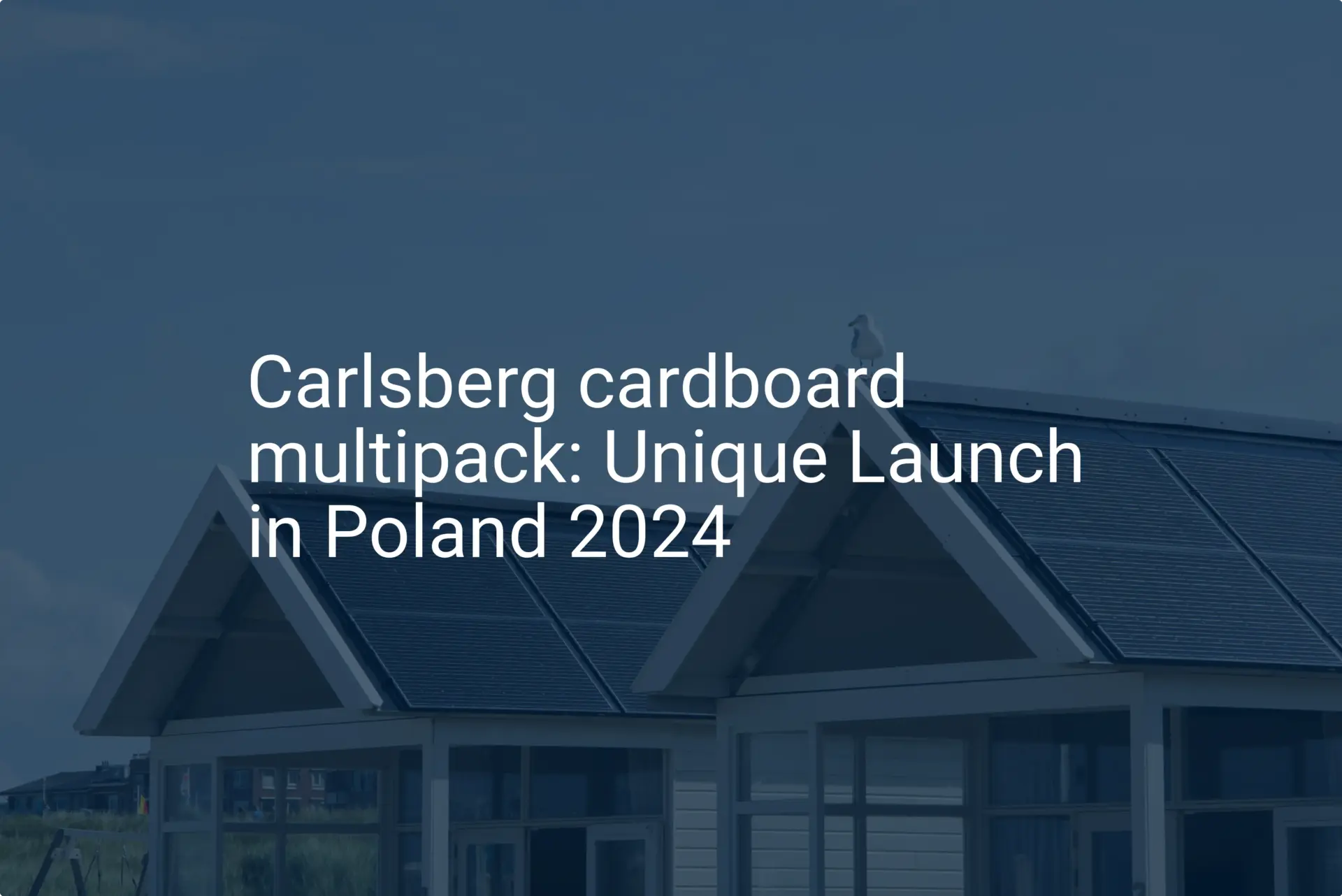 Carlsberg cardboard multipack: Unique Launch in Poland 2024