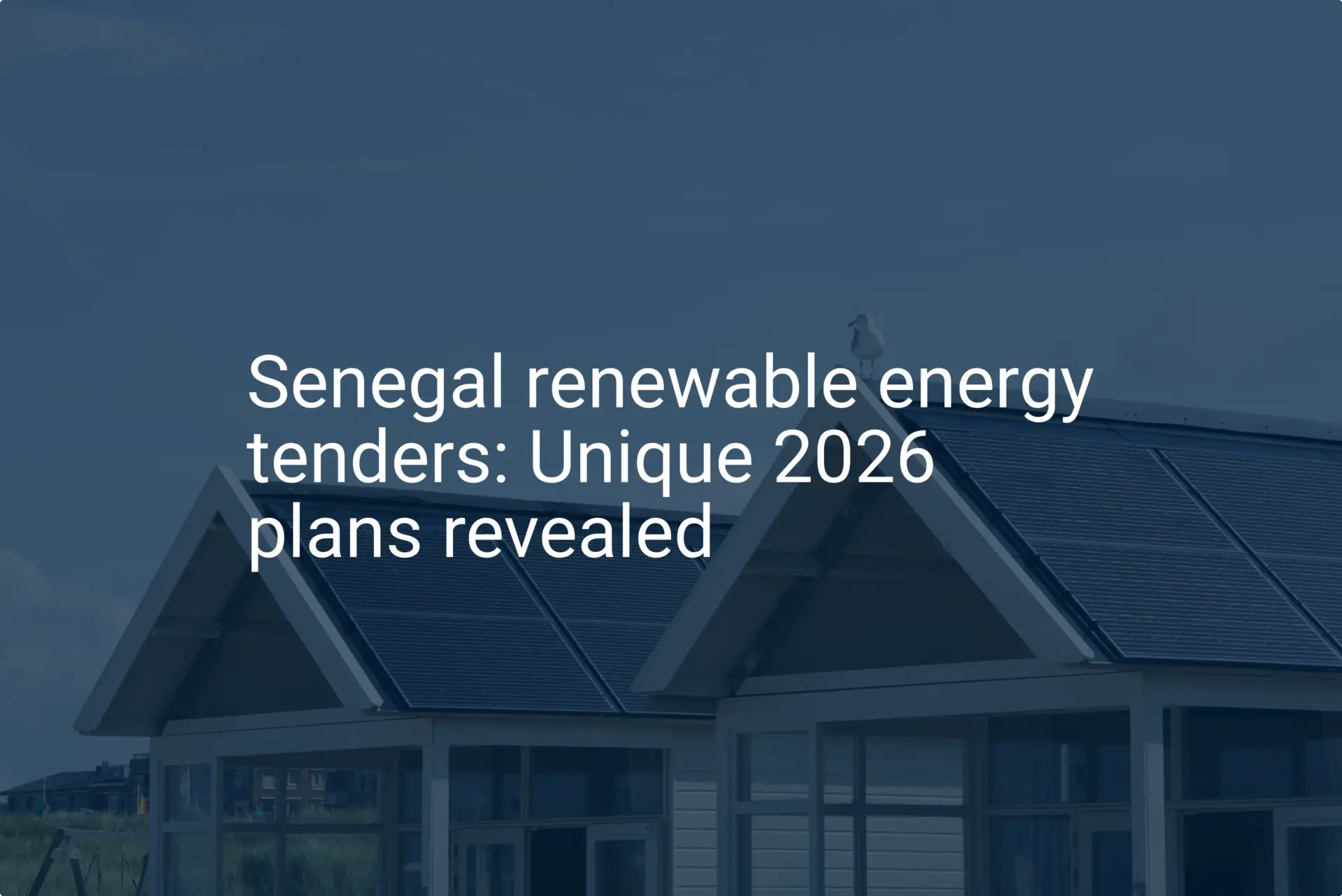 Senegal renewable energy tenders: Unique 2026 plans revealed