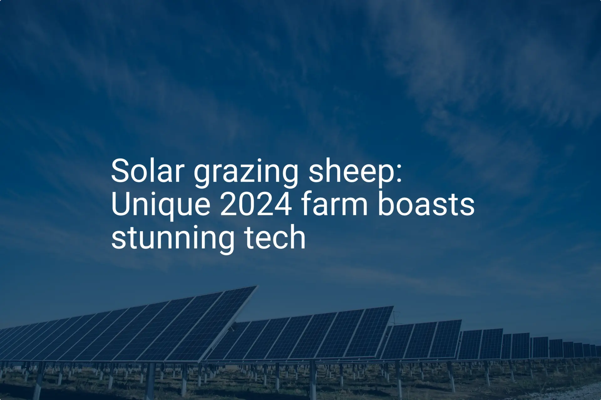 Solar grazing sheep: Unique 2024 farm boasts stunning tech