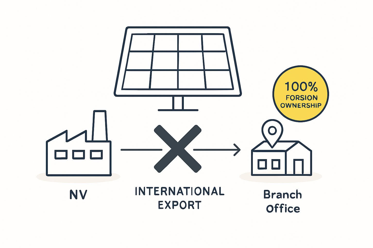 Image illustrating market perception and long-term strategy for NV and Branch Office structures.
