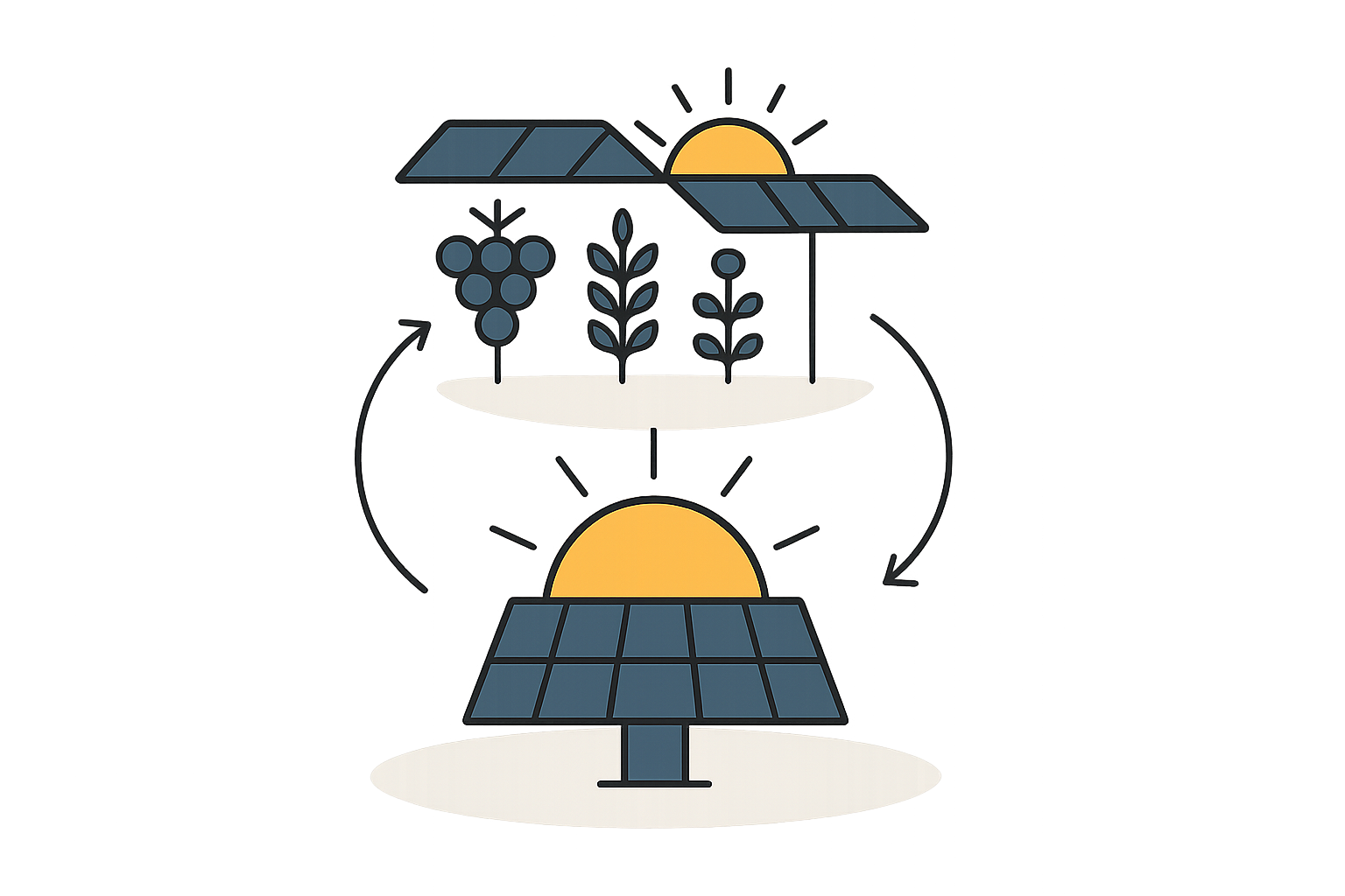 An illustrative graphic showing agrivoltaic systems over various crops like vineyards and row crops in Moldova.