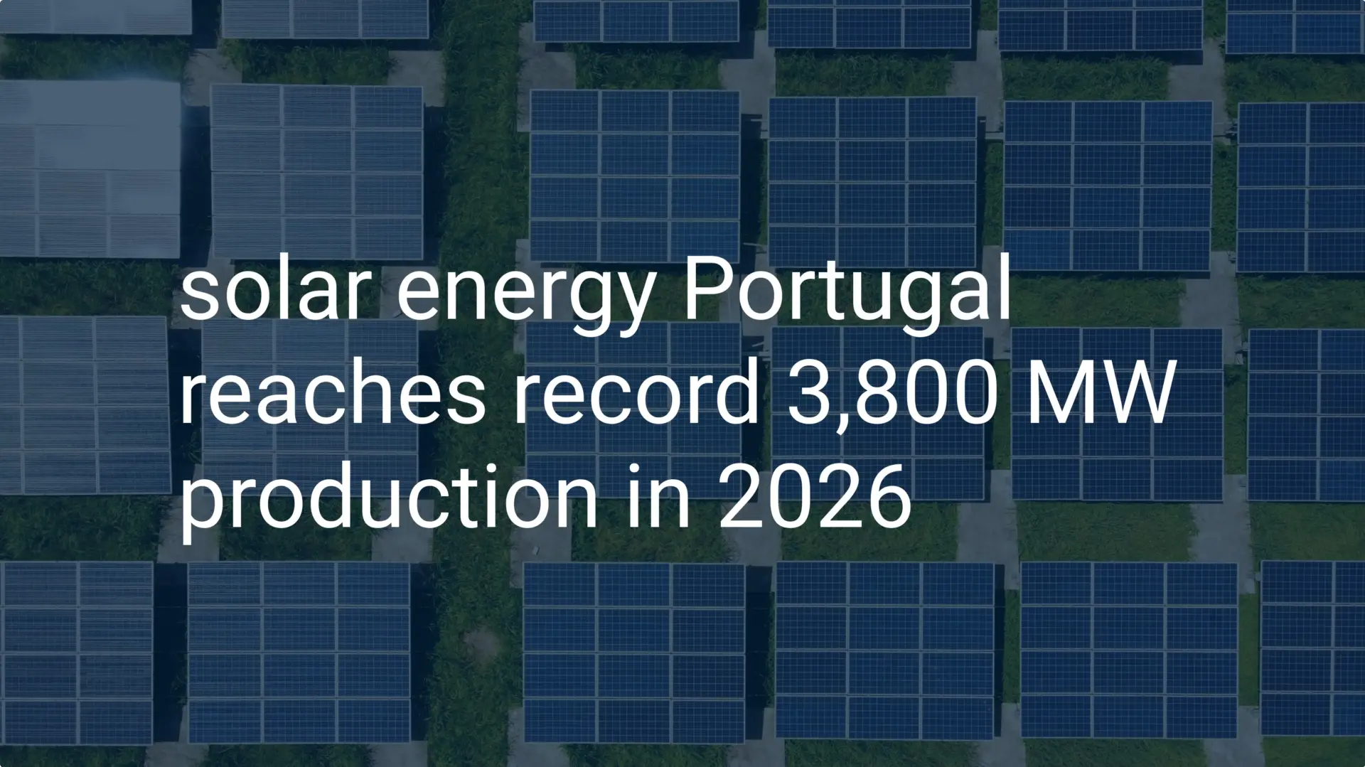 solar energy Portugal reaches record 3,800 MW production in 2026