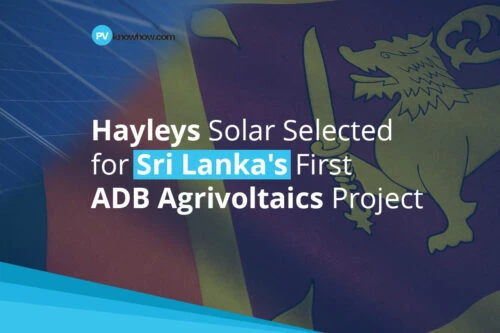 Hayleys Solar Selected for Sri Lanka's First ADB Agrivoltaics Project