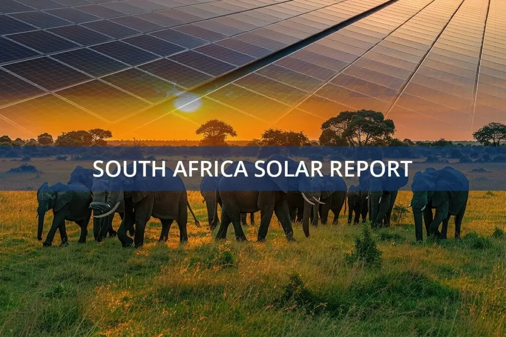South Africa solar panel manufacturing Report